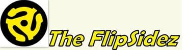 The FlipSidez